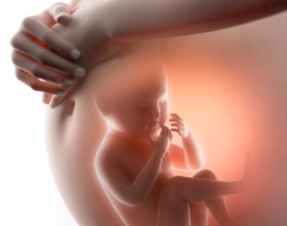 Gynecology & Obstetrics